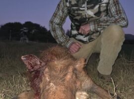 caza en sudafrica (28)